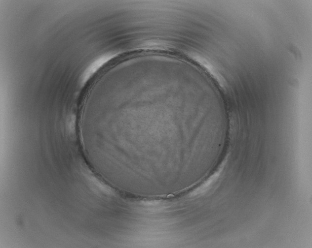 X0000115411066200911241323