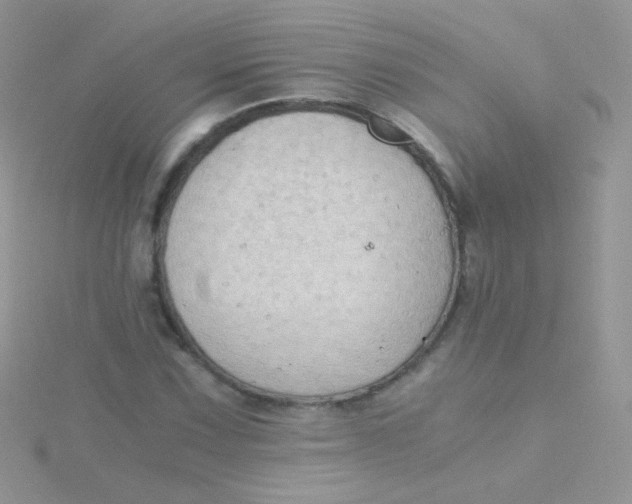 X0000115411067200911241323