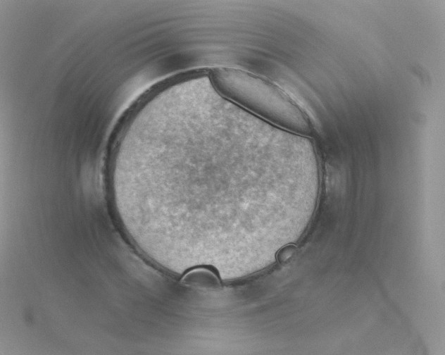 X0000115411068200911241323