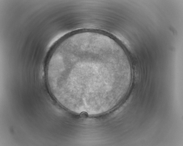 X0000115411070200911241323