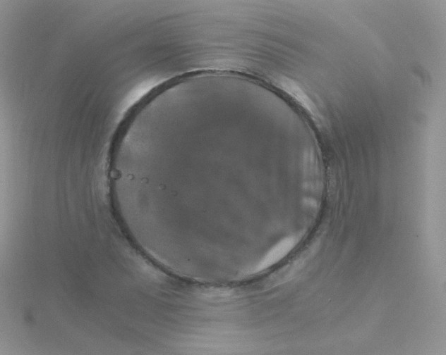 X0000115411071200911241323