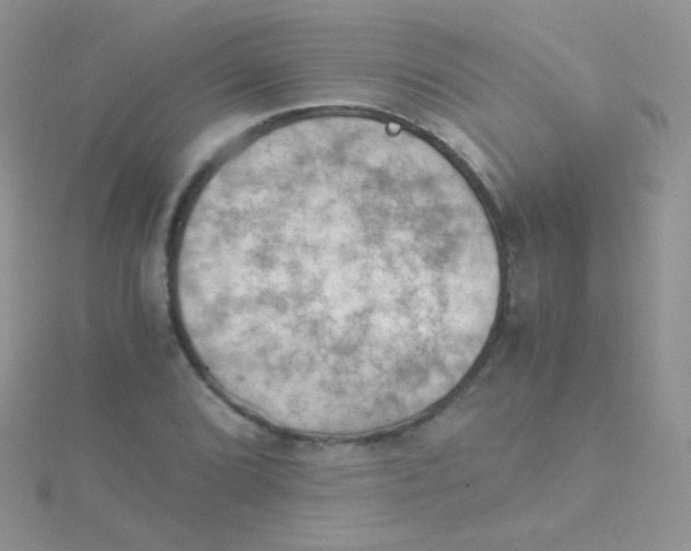 X0000115411072200911241323