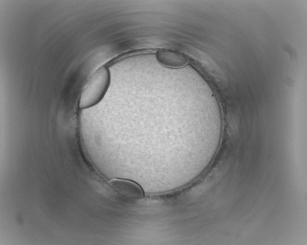 X0000115411073200911241323