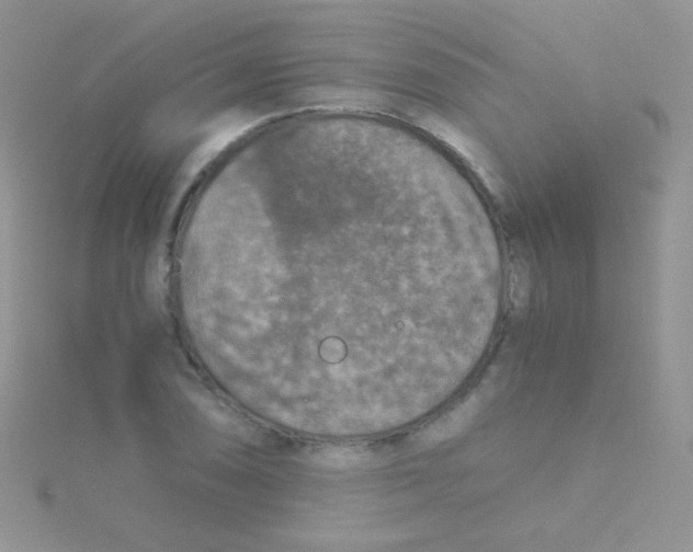 X0000115411074200911241323