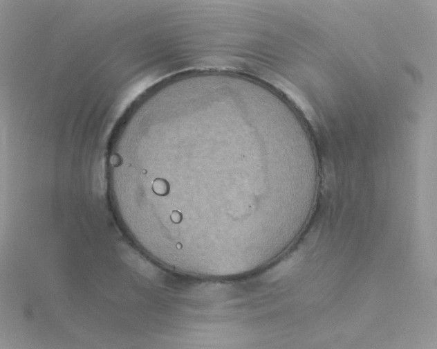 X0000115411075200911241323