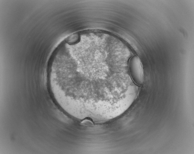 X0000115411076200911241323