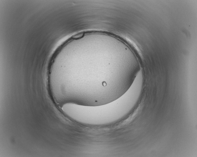 X0000115411077200911241323