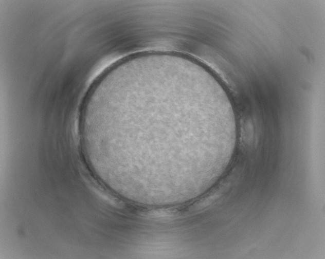 X0000115411078200911241323