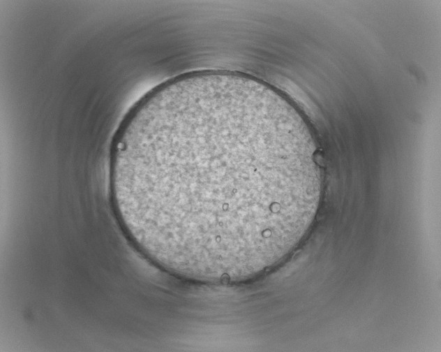 X0000115411079200911241323