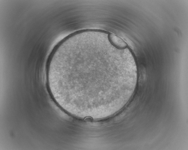 X0000115411080200911241323