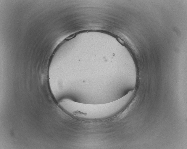 X0000115411081200911241323