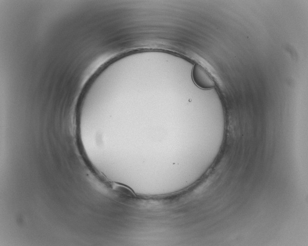 X0000115411082200911241323