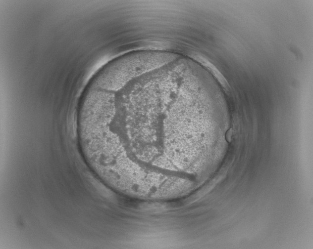 X0000115411083200911241323