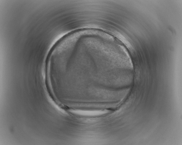 X0000115411084200911241323