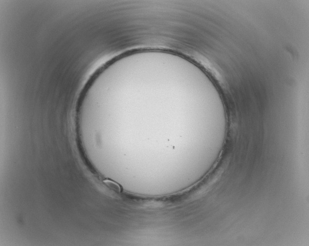 X0000115411085200911241323