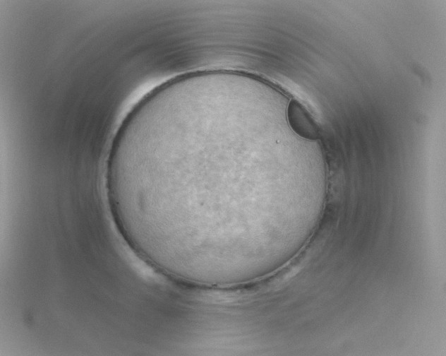 X0000115411086200911241323