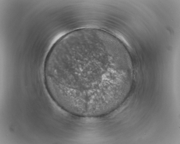 X0000115411087200911241322