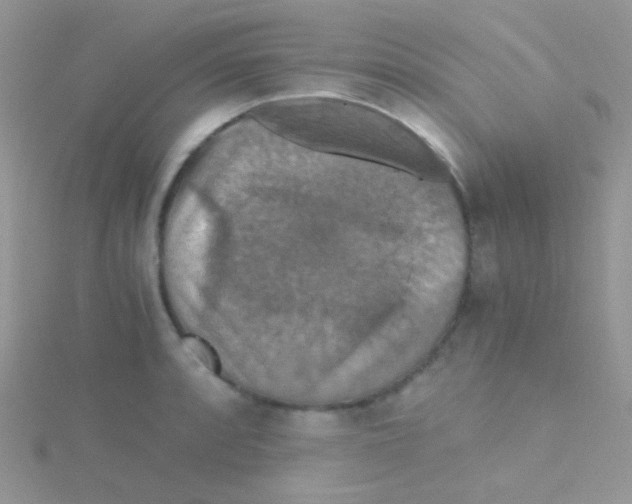 X0000115411088200911241322