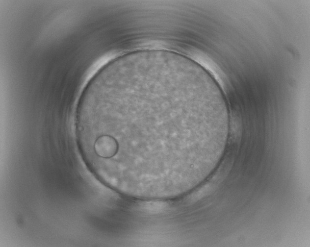 X0000115411090200911241322