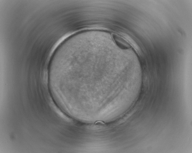 X0000115411092200911241322