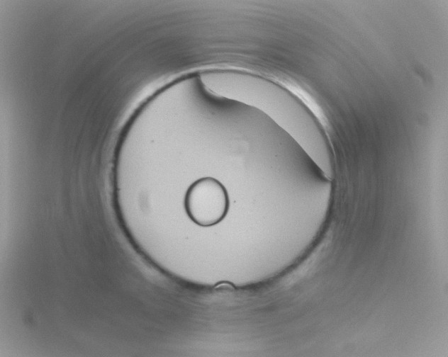 X0000115411093200911241322