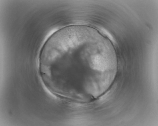 X0000115411095200911241322