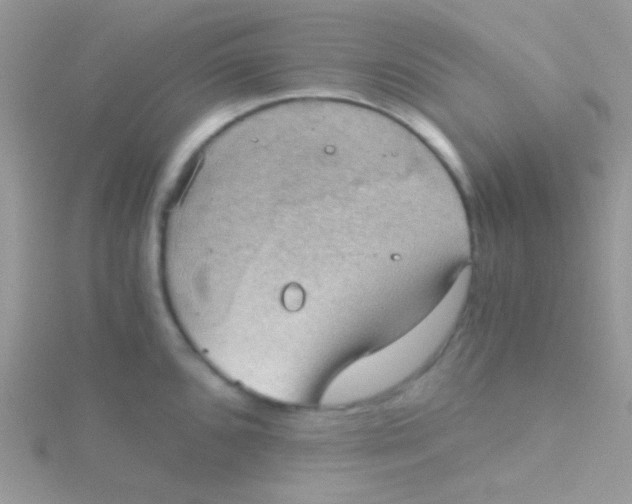 X0000115411096200911241322