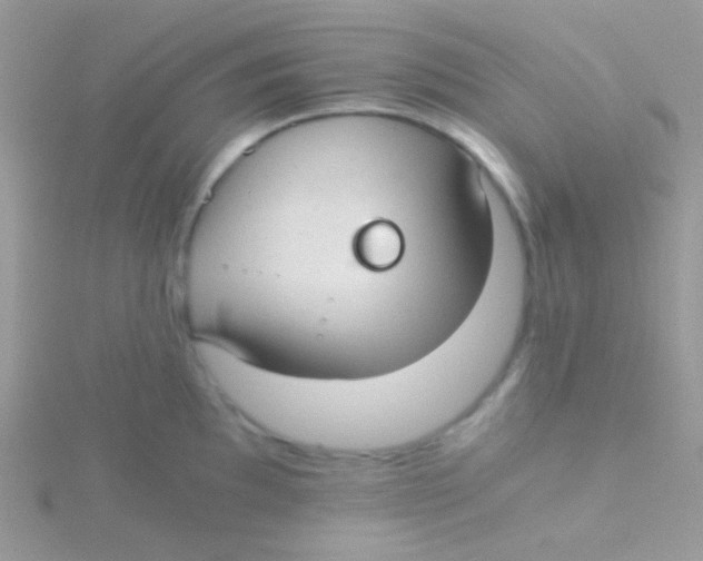 X0000115411097200911241322