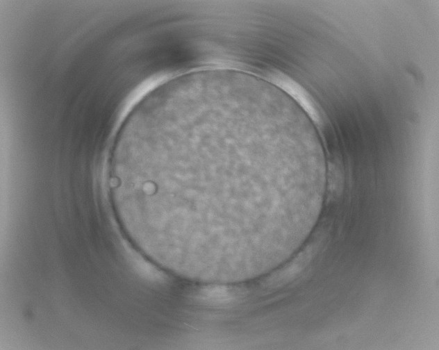 X0000115411098200911241322