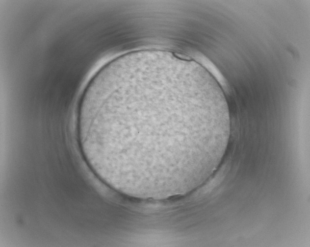 X0000115411099200911241322