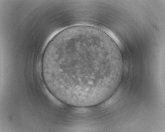 X0000115411100200911241322