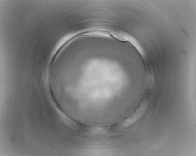 X0000115411101200911241322