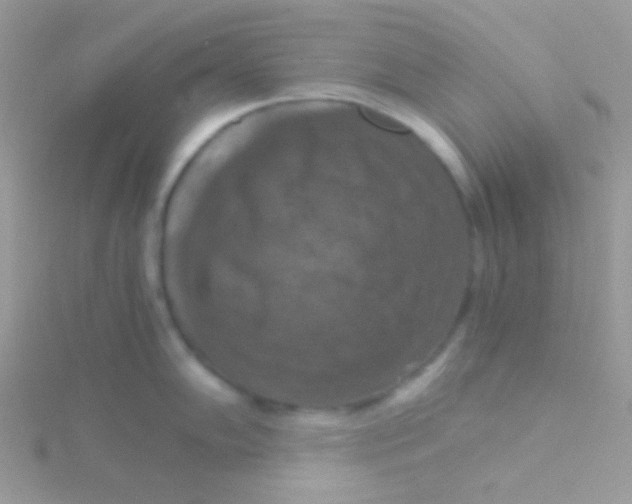 X0000115411102200911241322