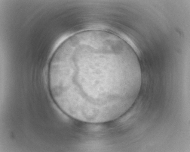 X0000115411103200911241322