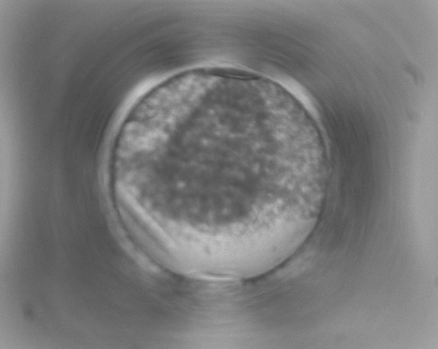 X0000115411104200911241322