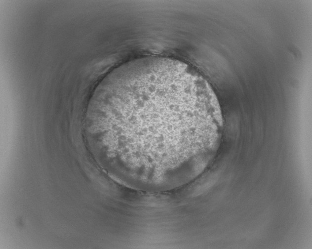 X0000115411105200911241322