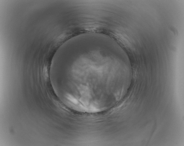 X0000115411106200911241322