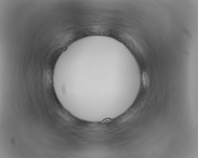 X0000115411107200911241322