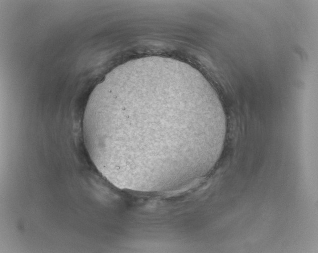 X0000115411109200911241322