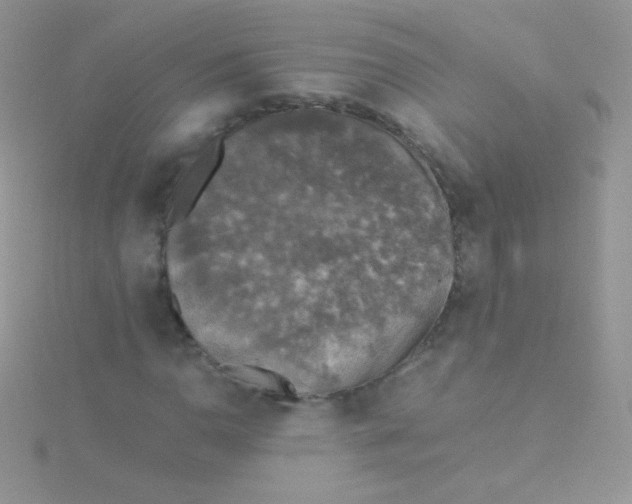 X0000115411110200911241322