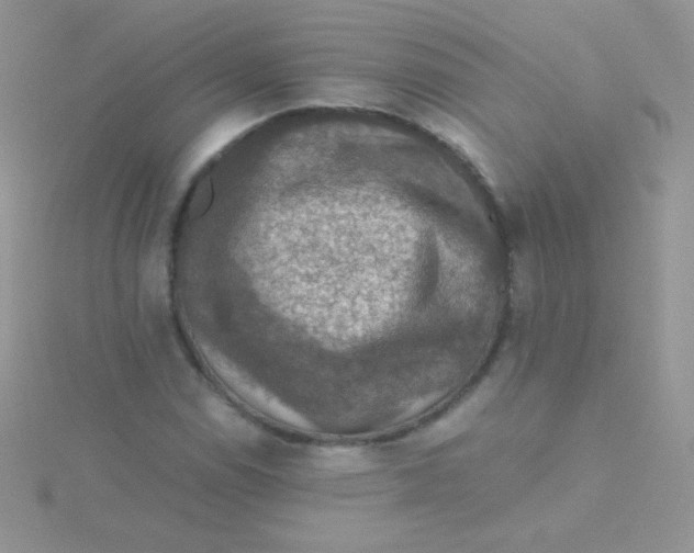 X0000115411114200911241322