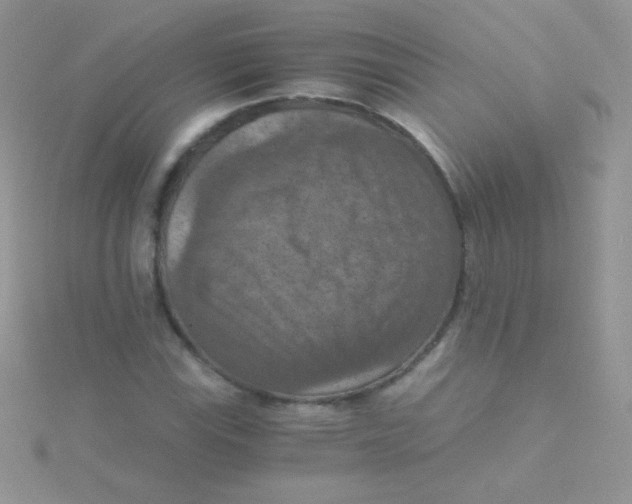 X0000115411115200911241322