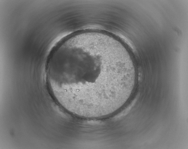 X0000115411117200911241322