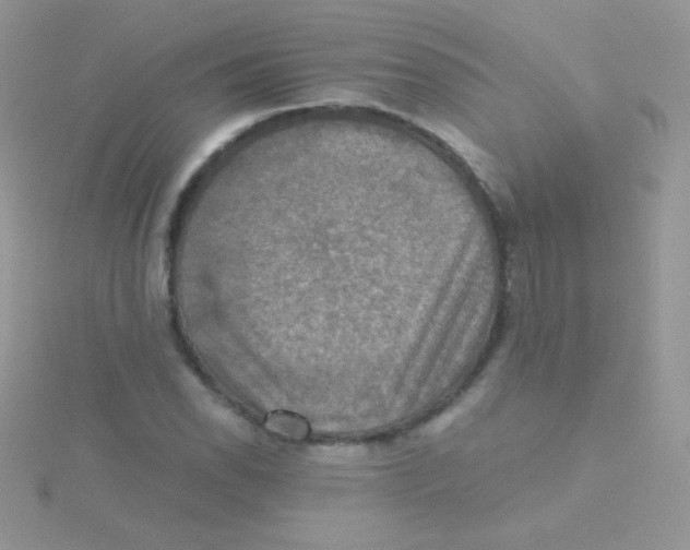 X0000115411118200911241322