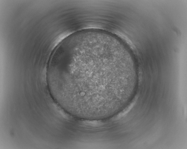 X0000115411121200911241322