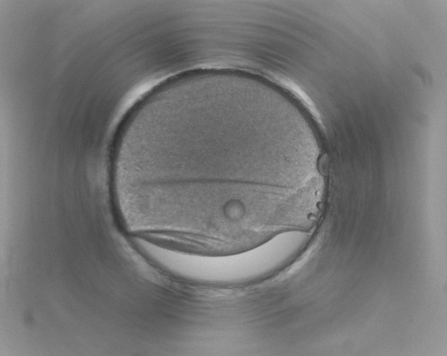 X0000115411122200911241322