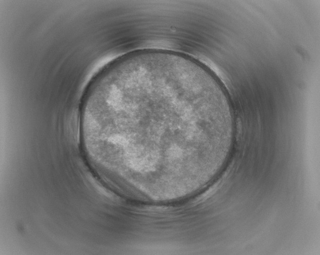 X0000115411123200911241322