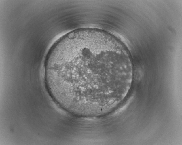 X0000115411125200911241322