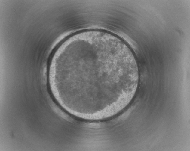 X0000115411126200911241322