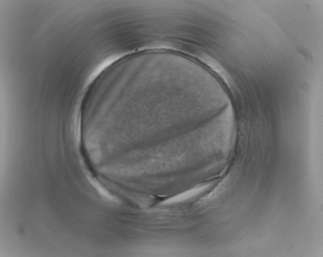 X0000115411127200911241322